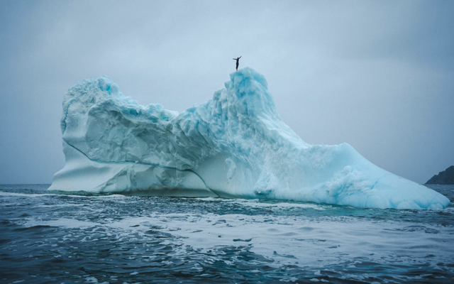 Cliff diver Molly Carson makes history, becomes first woman to dive off iceberg — WPBF Sports Palm Beach, Mesquite Sports news