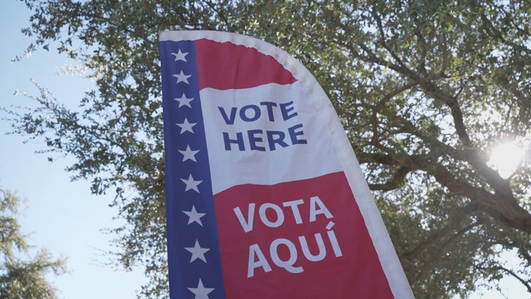 Voters in Mesquite, Texas, waiting in line to cast their ballots during early voting.